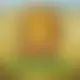Zagraj Mega Moolah z Games Global w {"id":11,"name":"Bison Casino","design":{"logo":"bison-casino-logo.PFhl2O.svg","favicon":"bison-casino-favicon.X9Xq44.png","banner_poker":"bison-casino-poker.ma4Lx7.webp","banner_mobile":"bison-casino-mobile.60Zwz2.webp","block_bg_color":"#192640","image_bg_color":"#293150","banner_bg_color":"#1A589B","block_text_color":"#ffffff","primary_bg_color":"#101928","banner_text_color":"#f1f5f9","footer_logos_type":"white","block_round_radius":"0.75rem","primary_text_color":"#f1f5f9","button_round_radius":"0.5rem","banner_welcome_bonus":"bison-casino-welcome-bonus.VXYfMl.webp","primary_button_bg_color":"#FF7F4F","primary_button_text_color":"#fff","secondary_button_bg_color":"#1A589B","secondary_button_text_color":"#fff"},"created_at":"2025-05-14T09:25:22.000000Z","updated_at":"2025-05-14T09:25:22.000000Z","deleted_at":null}